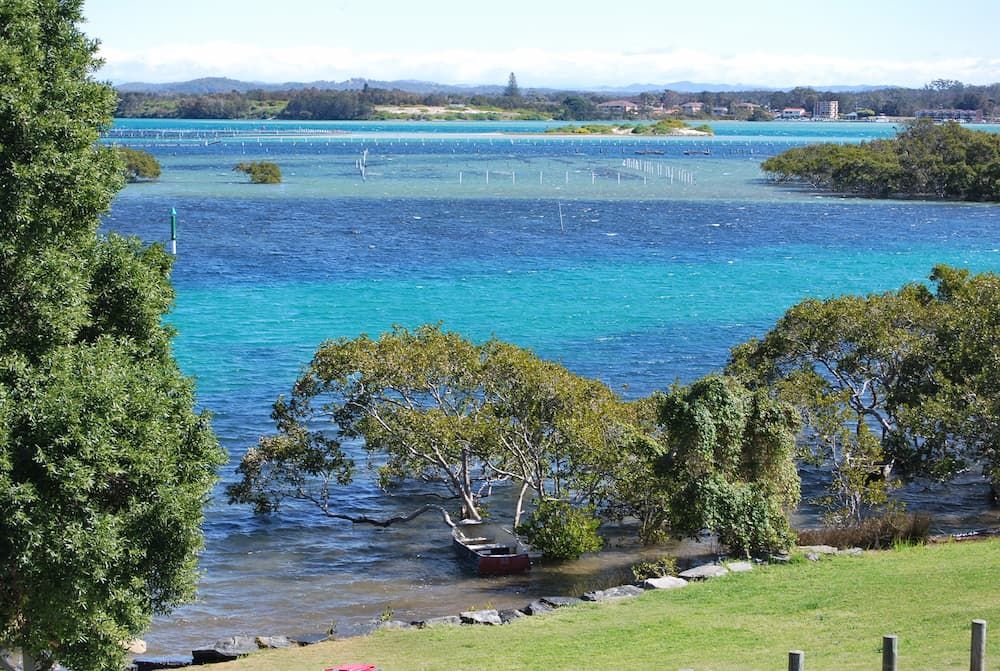 A Large Body of Water With Trees in the Foreground — Crakka Windscreens in Forster-Tuncurry, NSW