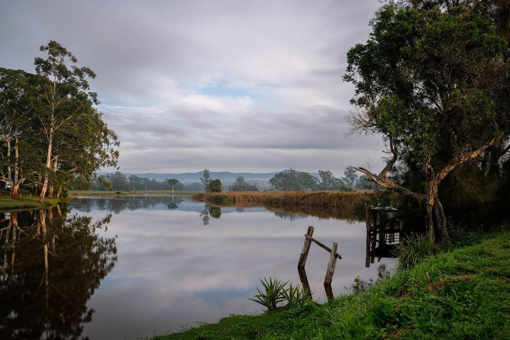 A Lake Surrounded by Trees and Grass on a Cloudy Day — Crakka Windscreens in Bulahdelah, NSW