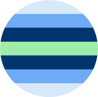 Boyflux Flag