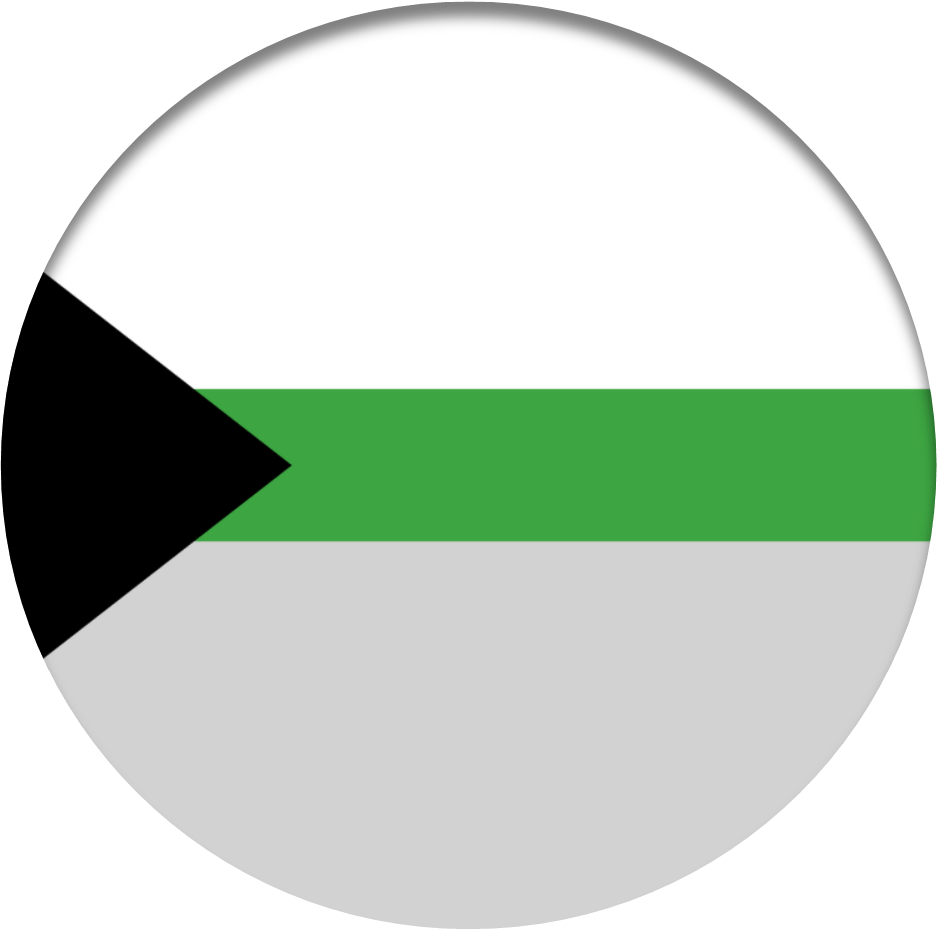 Demiromantic flag
