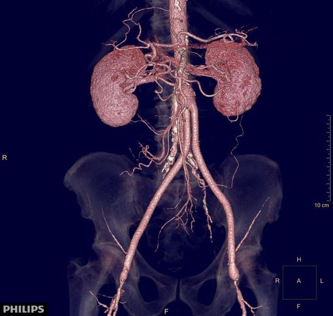 cardiologia