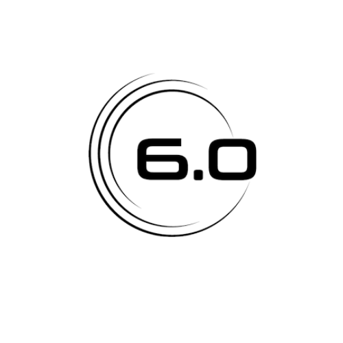 6.0 Pickleball Paddles