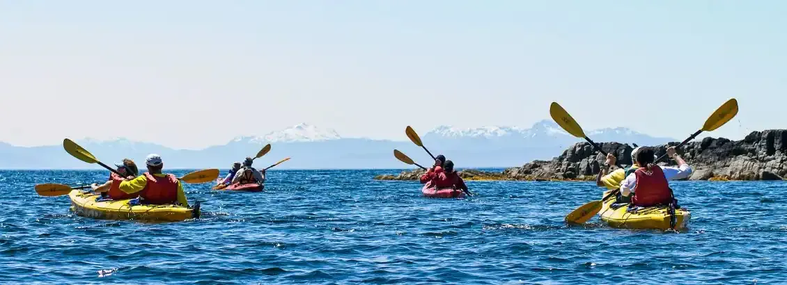 A group of 4 sea kayakers with the background of Alaska's mountains 