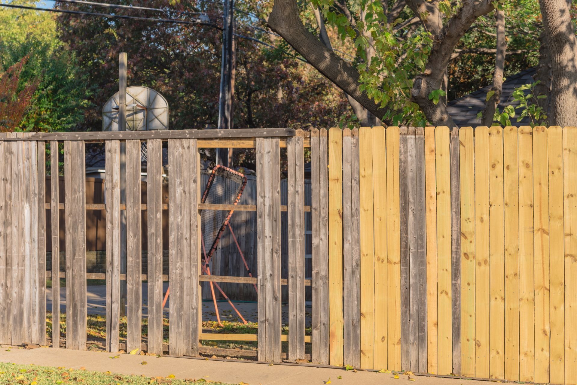 Weathered wooden fence panels in front of a yard with a basketball hoop and trees.