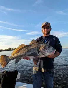 Man holding a large black drum fish, smiling, on a boat, blue sky and water in the background.