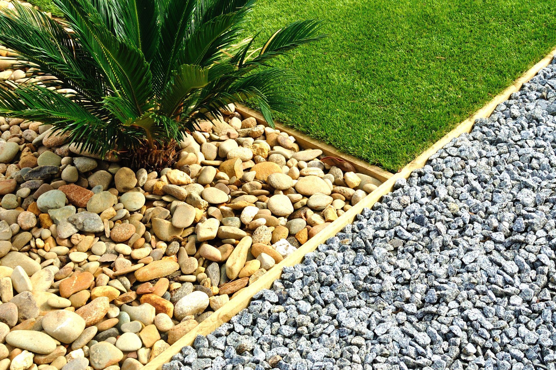 A garden filled with rocks and grass with a palm tree in the middle.