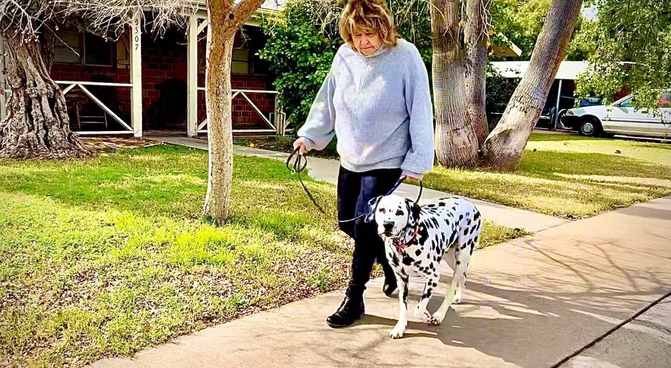 About StressLess Dog Care | Dog Training Services