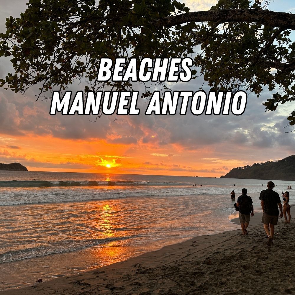 Manuel Antonio Travel Guide Villas Jacquelina