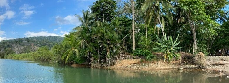 Day trip from your hotel in Quepos to Dominical