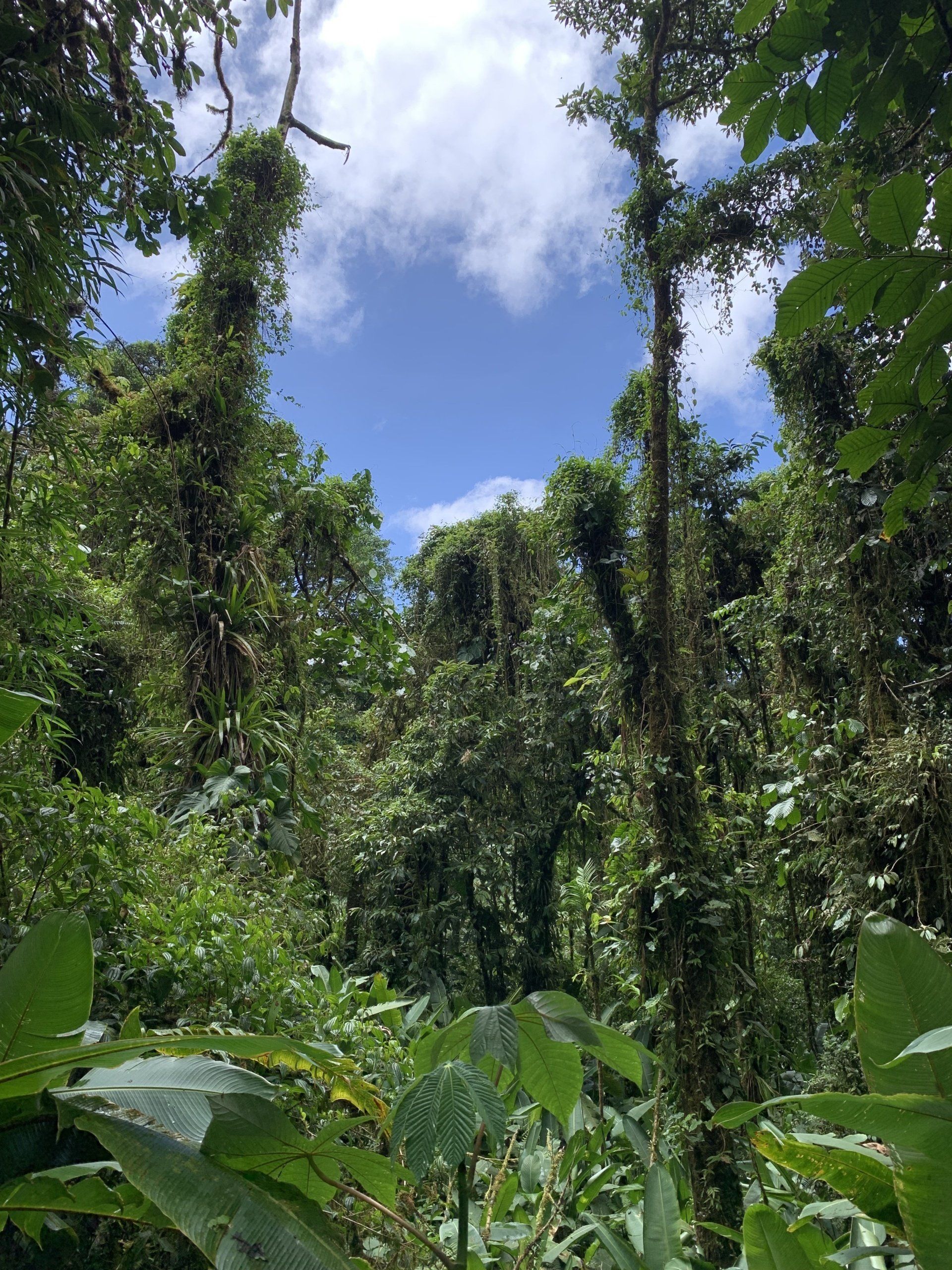 best places to visit in Costa Rica Monteverde
