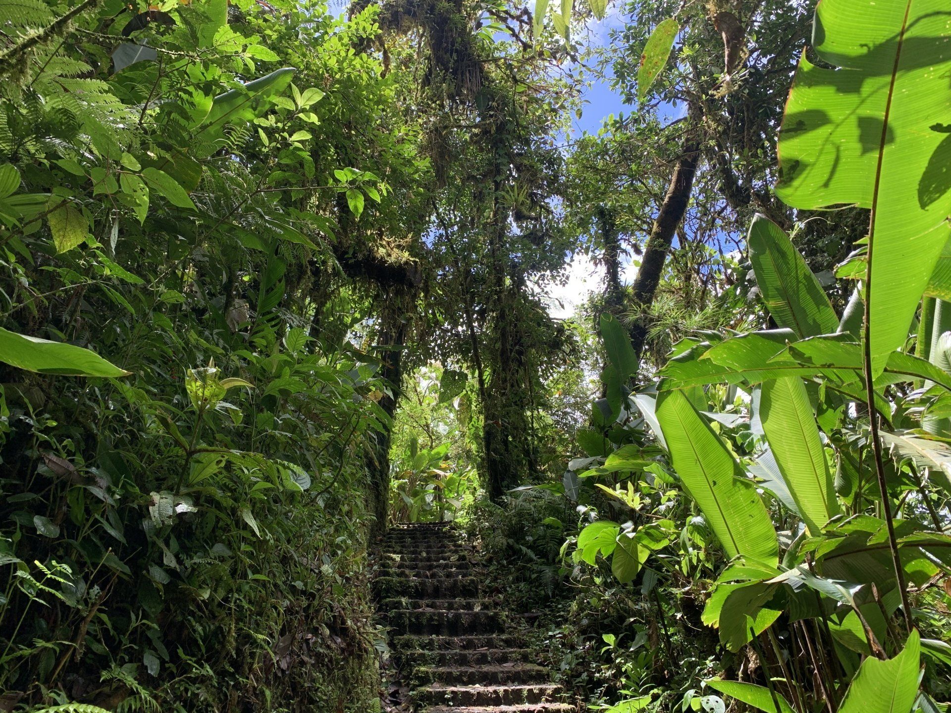 best places to visit in Costa Rica Monteverde