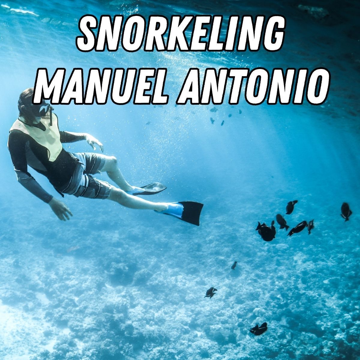 snorkeling manuel antonio