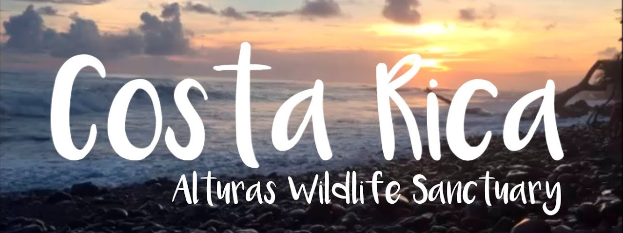volunteer opportunities Manuel Antonio Alturas wildlife sanctuary