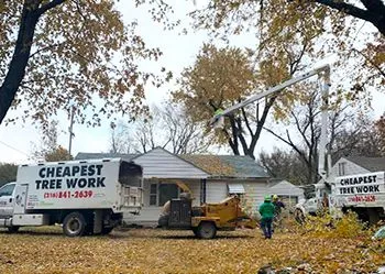 Tree service trucks with