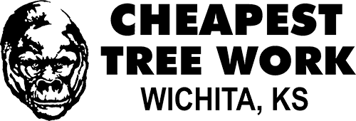 A logo for the company cheapest tree work