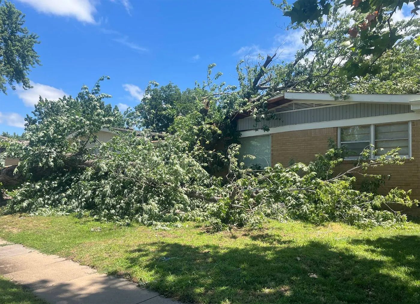 Storm-damaged tree branches leaning over a house beside a sidewalk under a blue sky