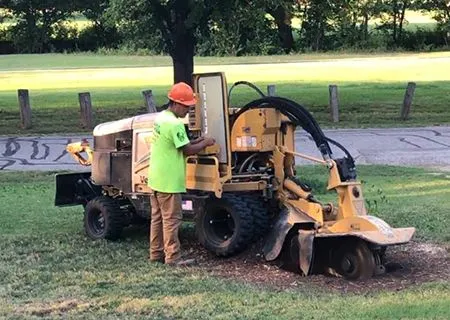 Man in safety gear operating stump grinder on grass near a road.