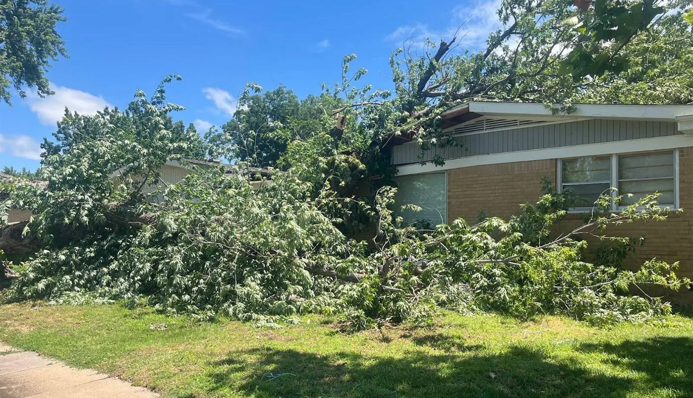 A tree has fallen onto a brick house, with branches covering the roof and surrounding the home.