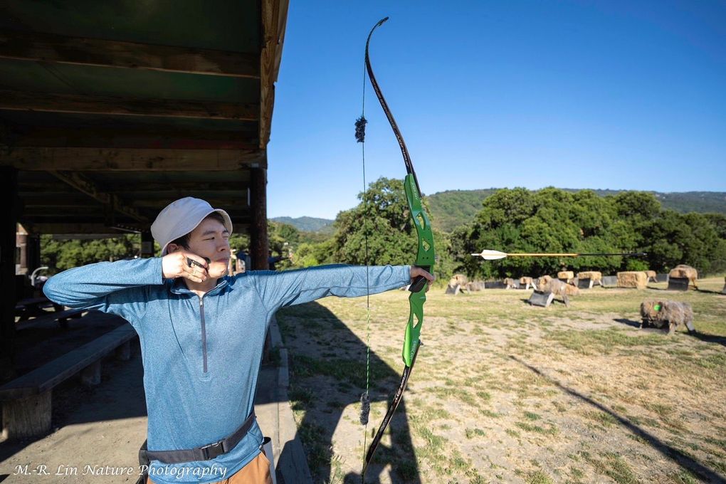 Person aiming a bow outdoors at a grassy field on a sunny day