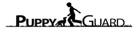 Silhouette of a person and dog running, leash in hand. Text reads 