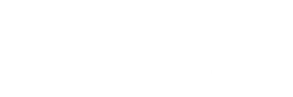 white transparent stoneclad logo