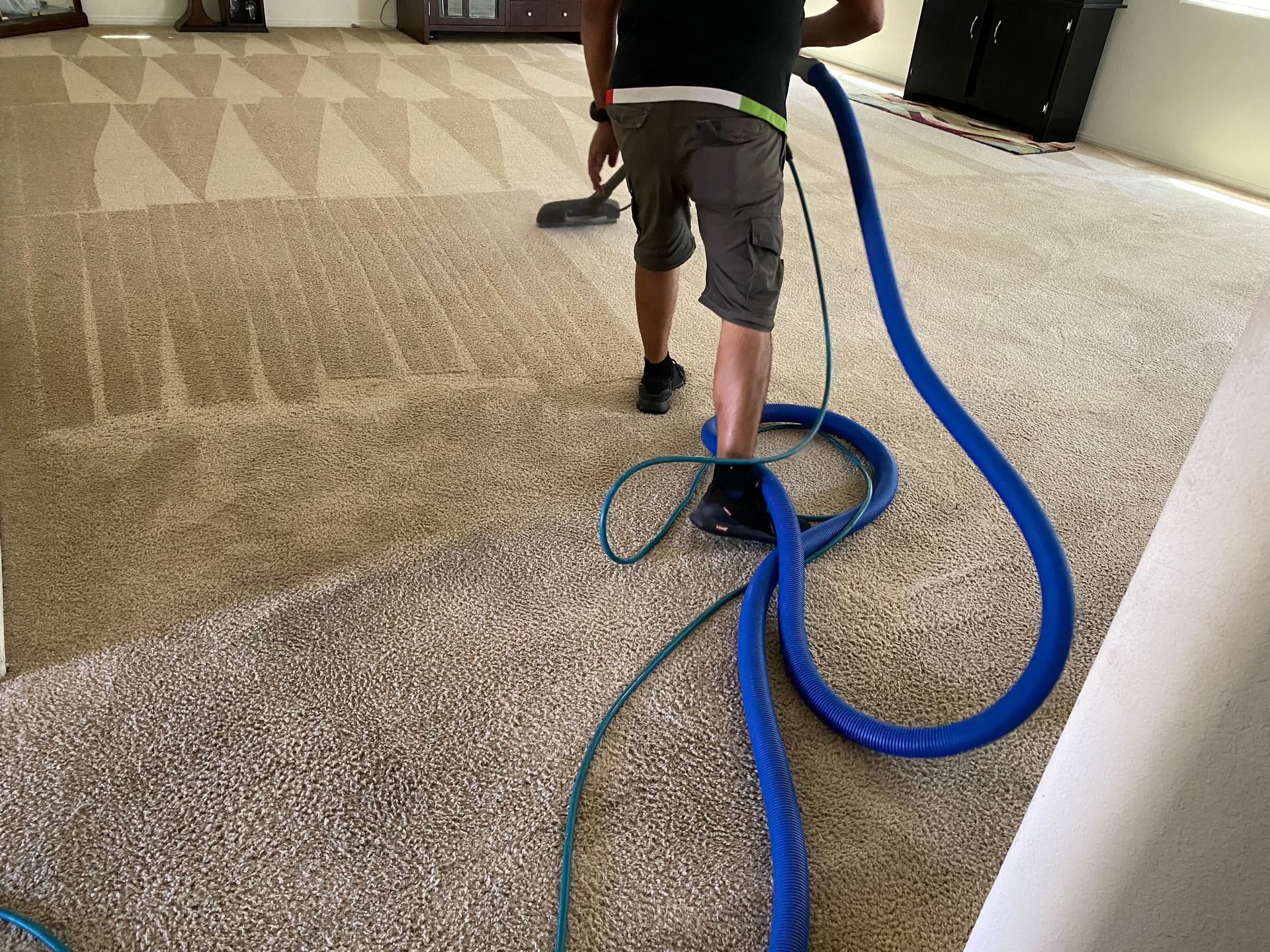 Person steam cleaning a beige carpet with a steam cleaner in a sunny room.