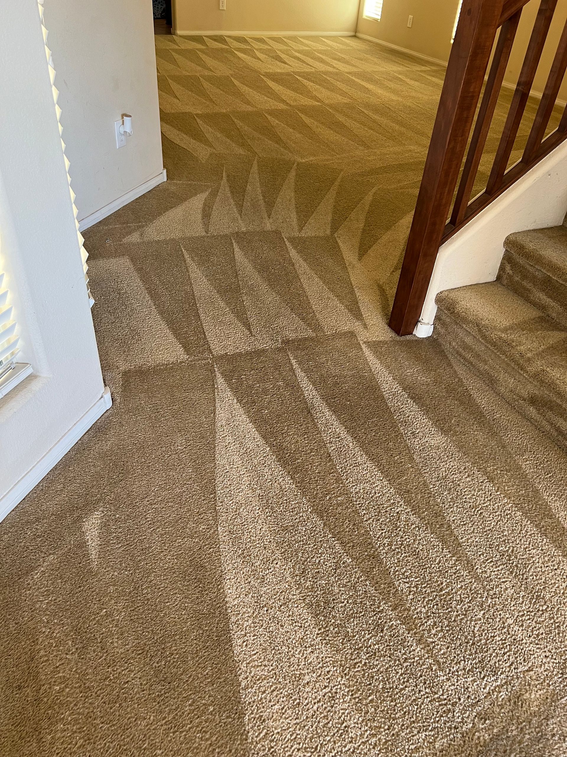 Beige carpeted stairs and floor leading to another room.