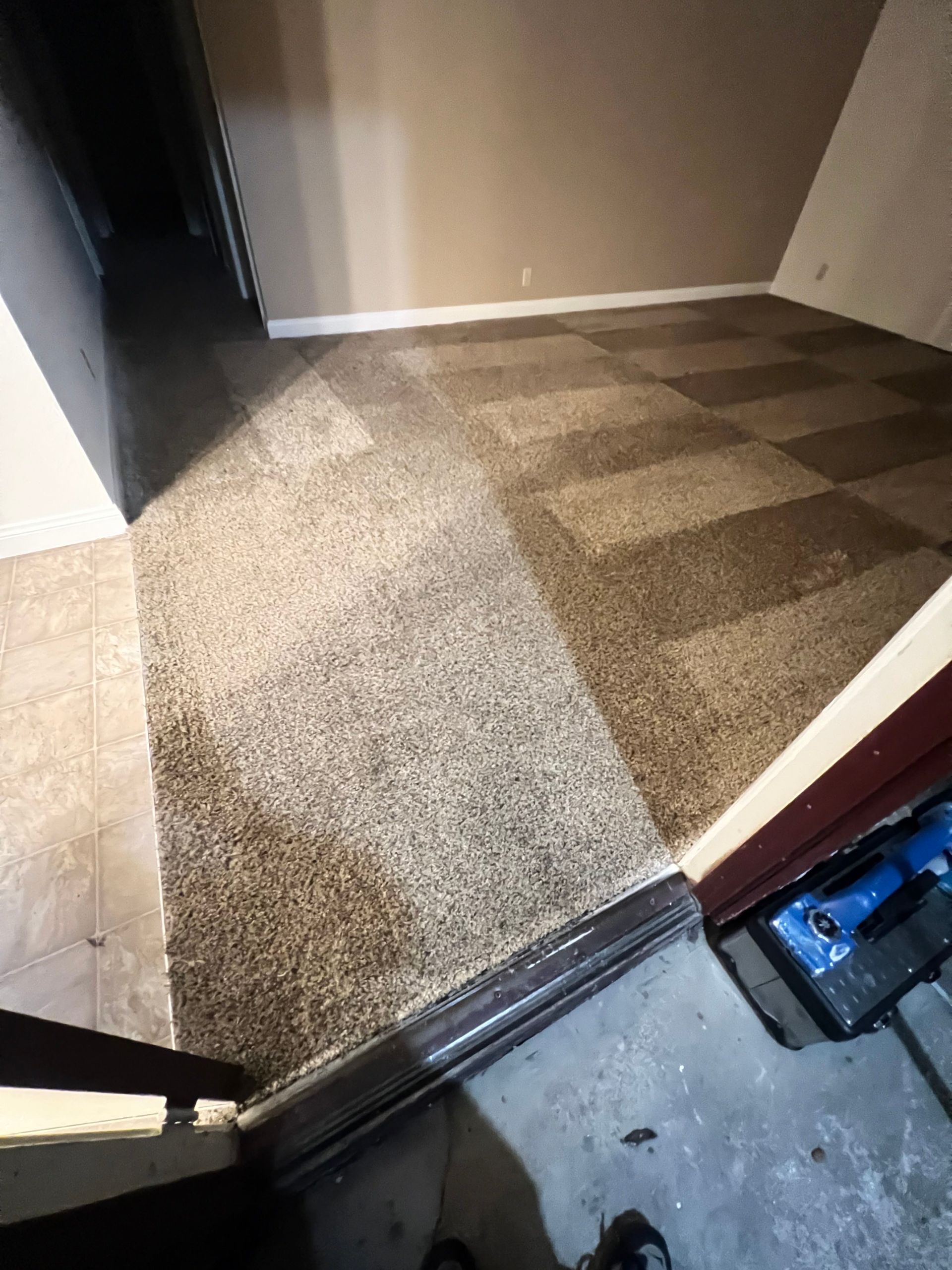 Beige and brown carpeted hallway, checkered pattern, doorway in foreground, dark door to the left, and beige walls.
