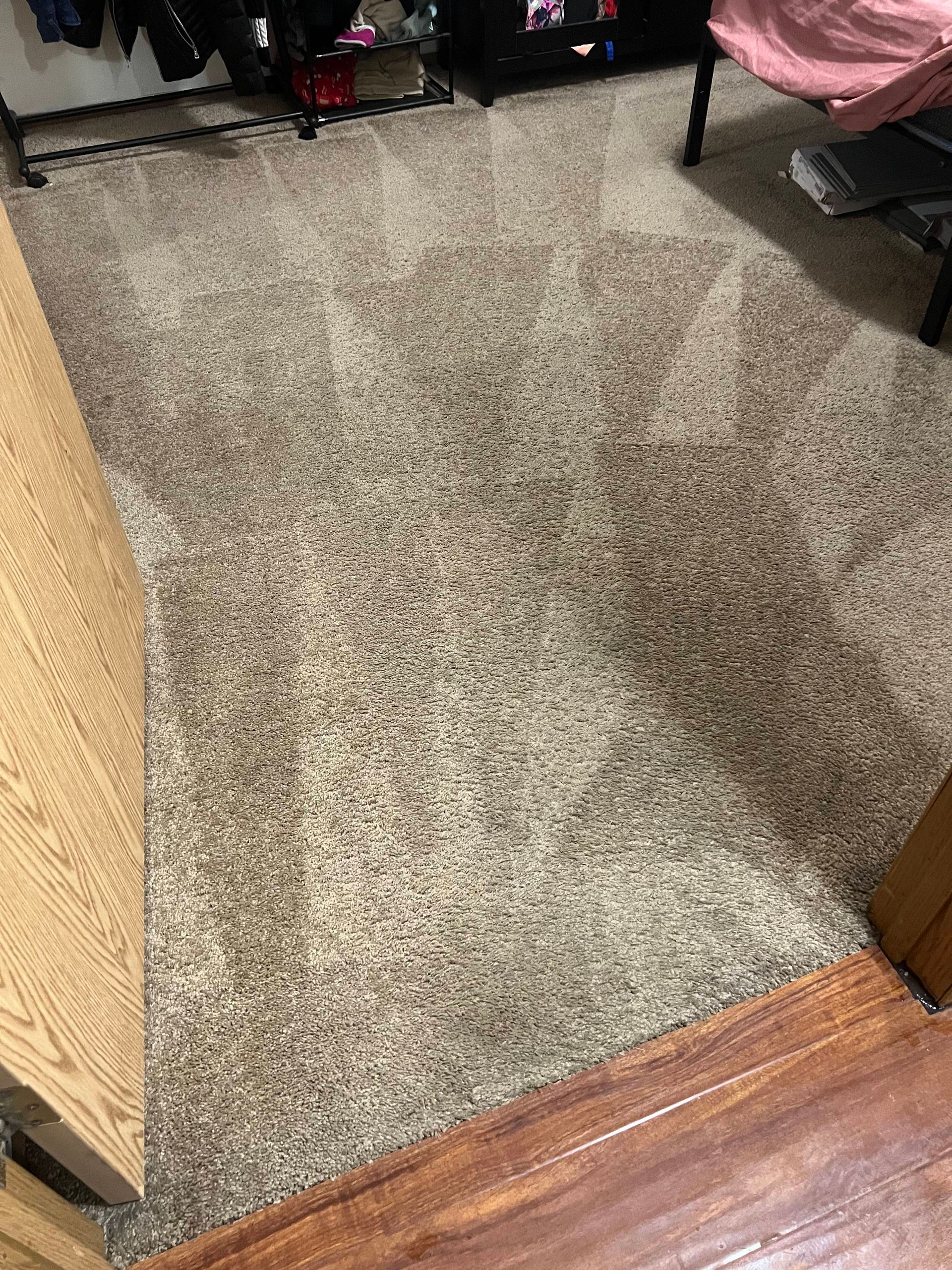 Beige carpet in a room, angled view. Brown wooden trim. Closet and some furniture visible in the background.