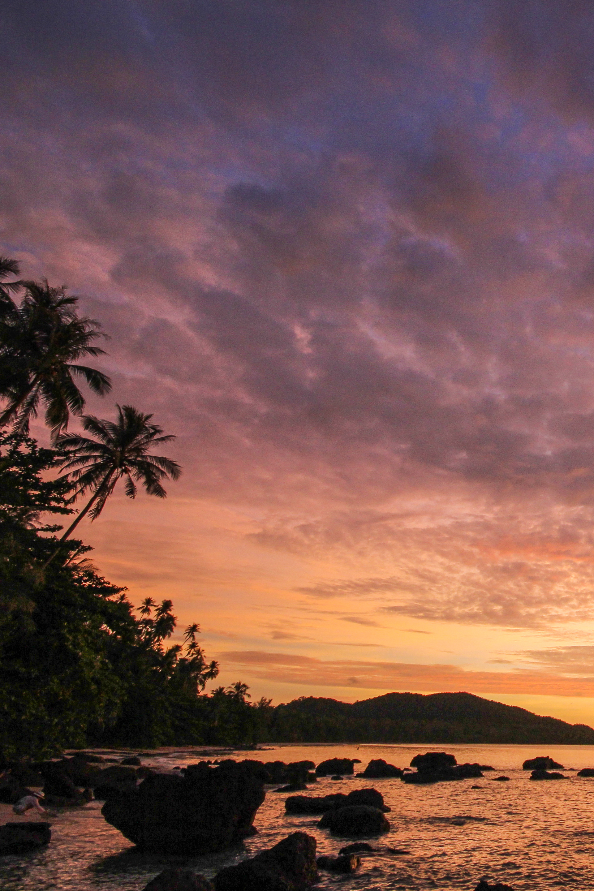 A sunset over a body of water with palm trees in the foreground