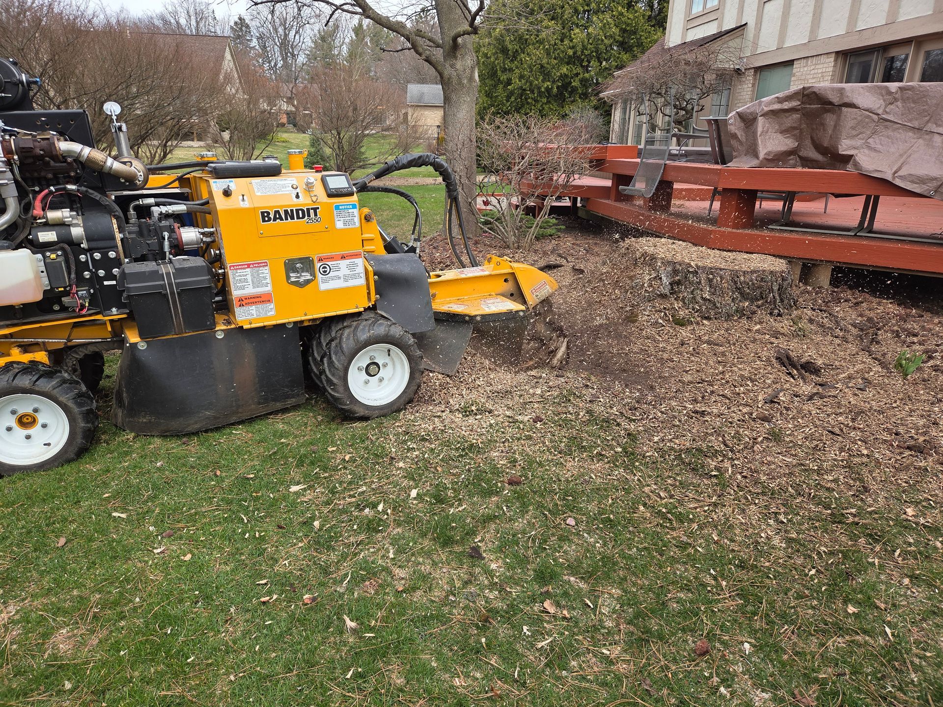 Grinding 4 stumps in Troy, MI.