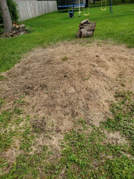 Mulch after stump grinding