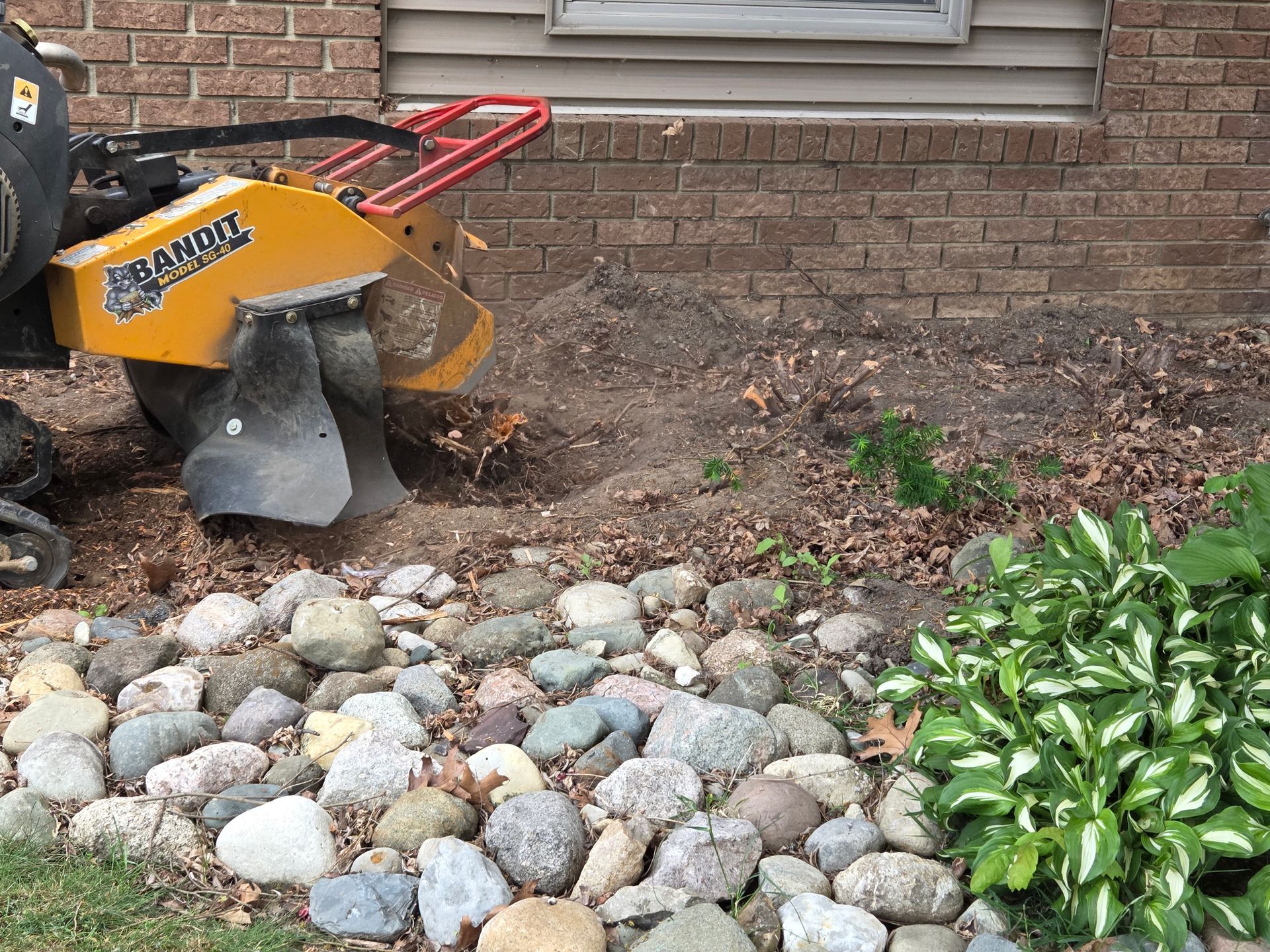 Stump Grinding in Franklin, MI. Shrub stump grinding around a house. 