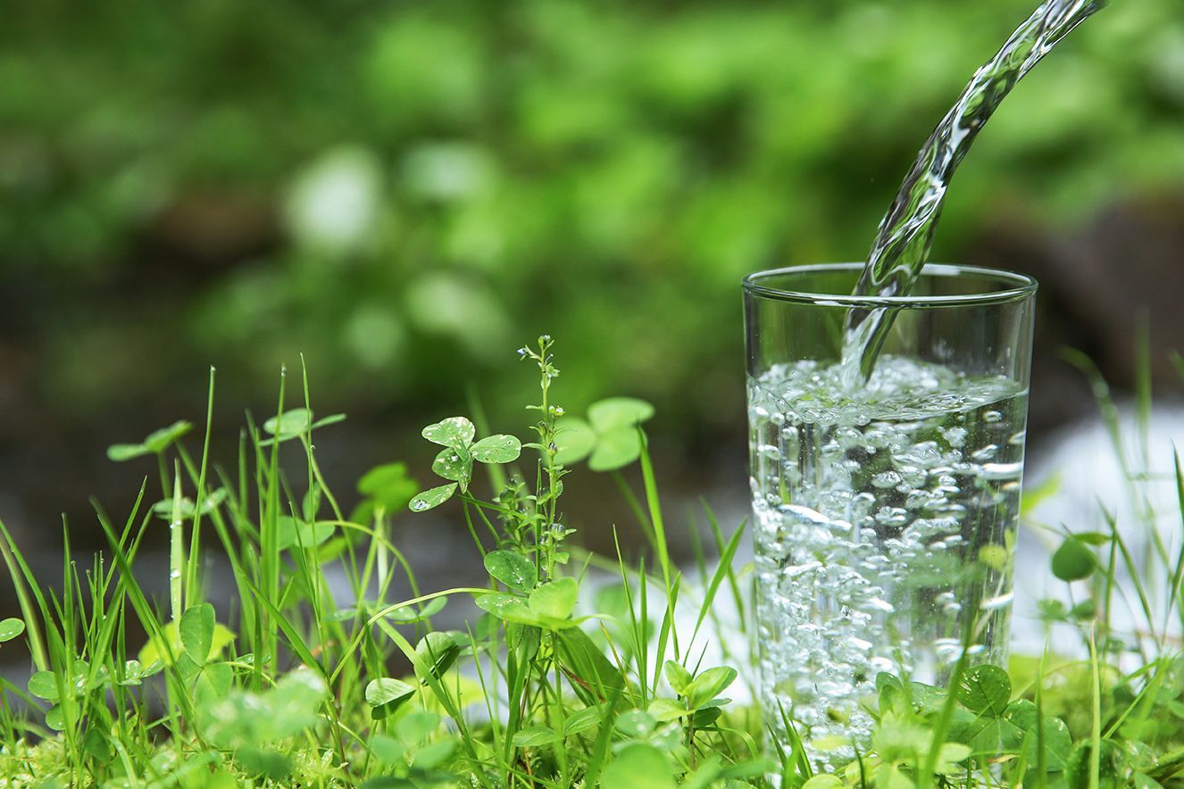 Functional Medicine Practitioner, natural health