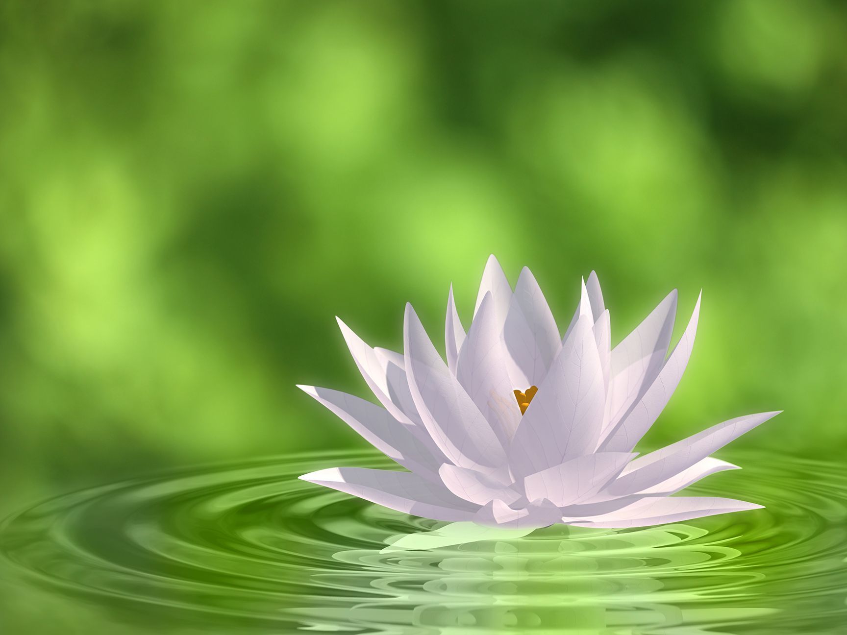 Functional Medicine Practitioner, natural health
