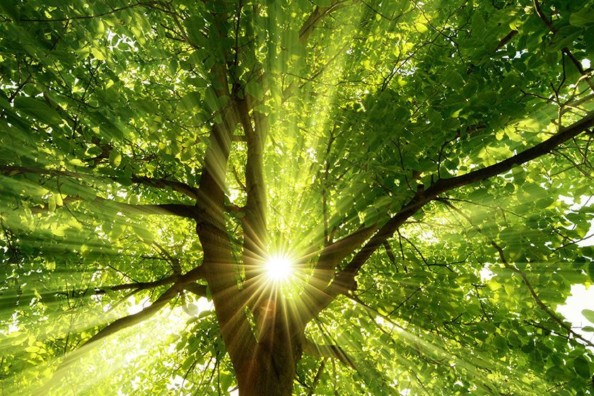 Functional Medicine Practitioner, natural health