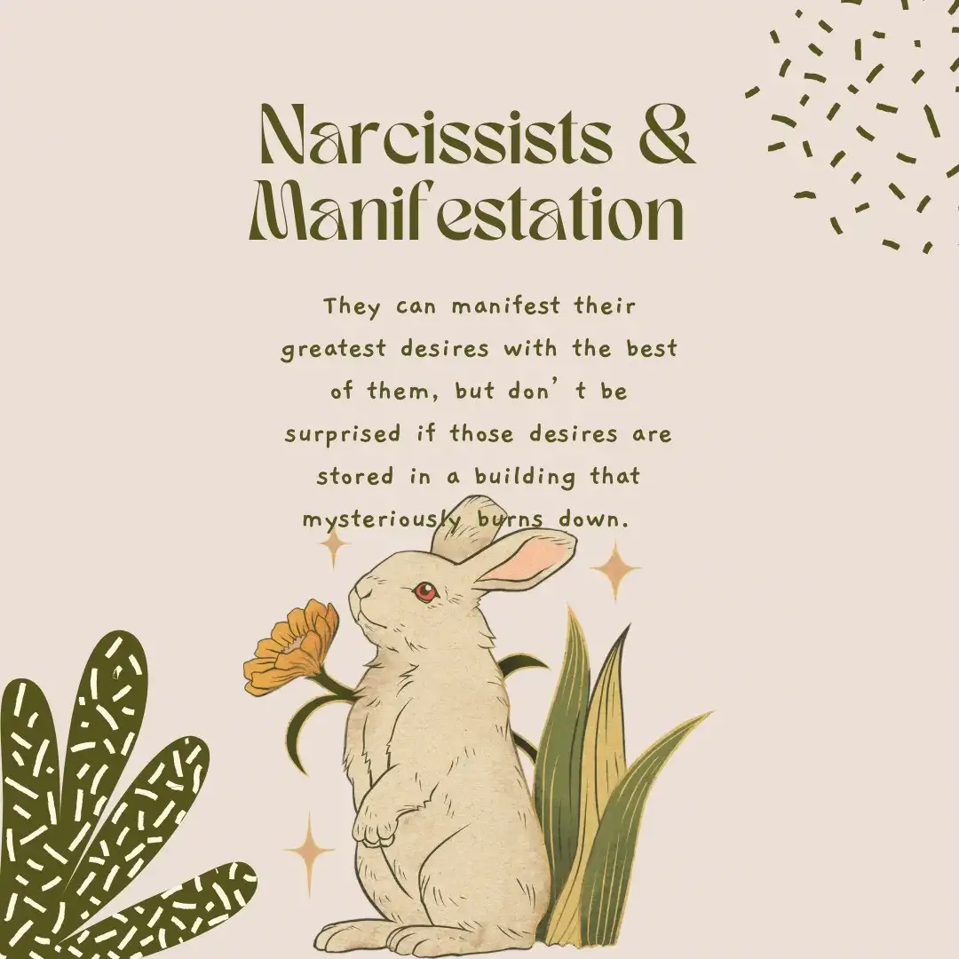 Narcissists & The Law of Attraction
