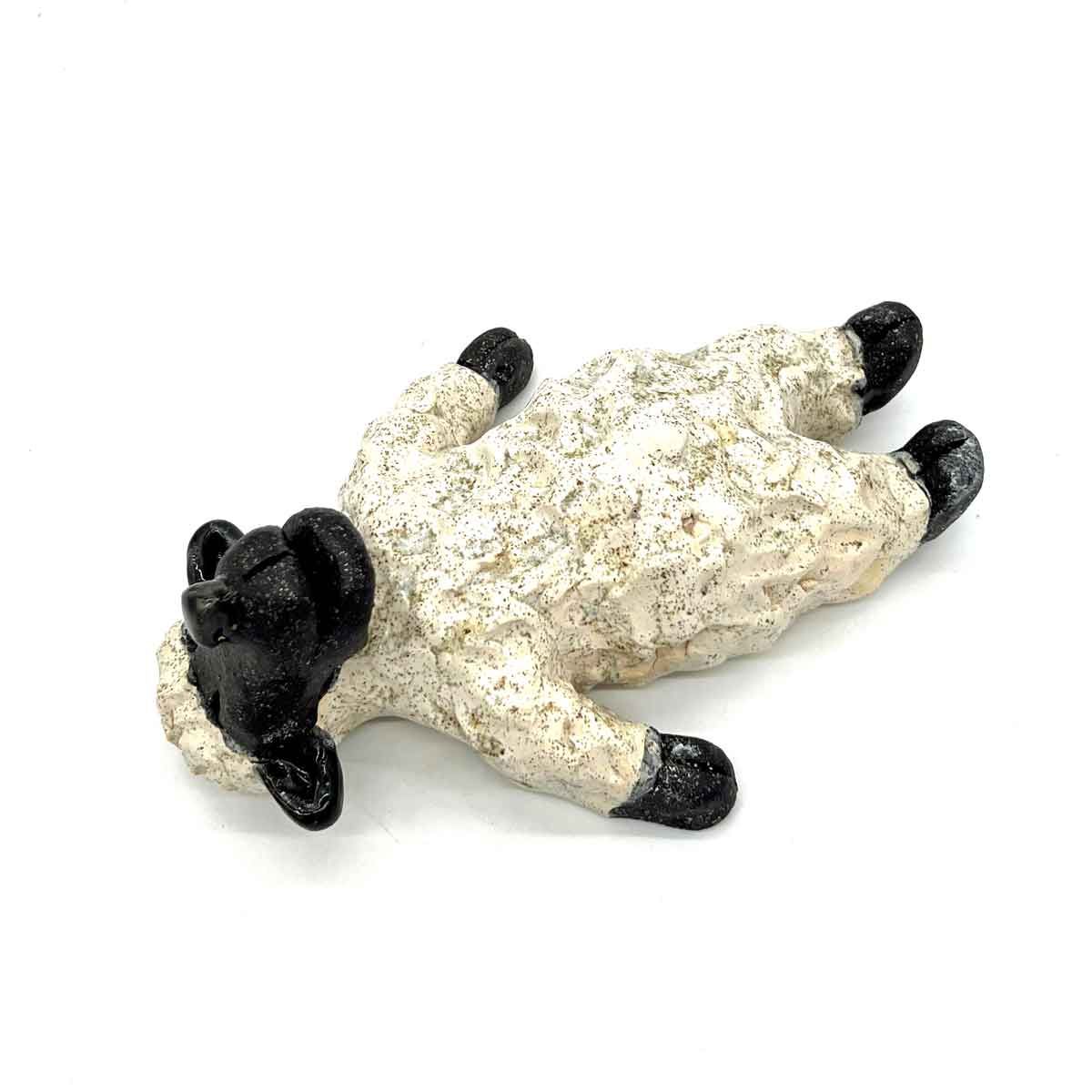 Klein zwart-wit hondje dat op zijn rug ligt met zijn pootjes omhoog.
