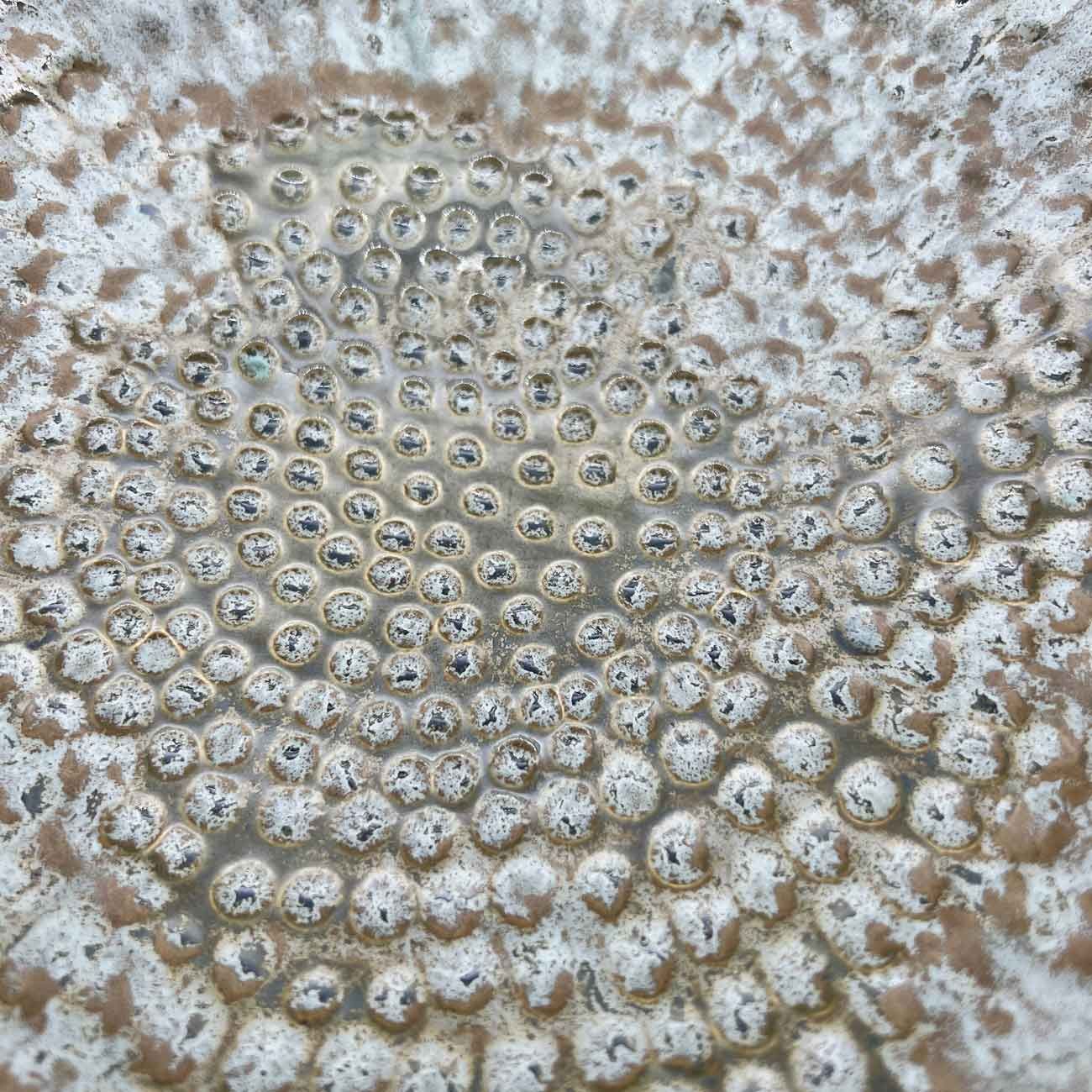 Detailopname van een gestructureerd, gespikkeld cirkelvormig oppervlak met verhoogde bultjes in grijze en beige tinten.