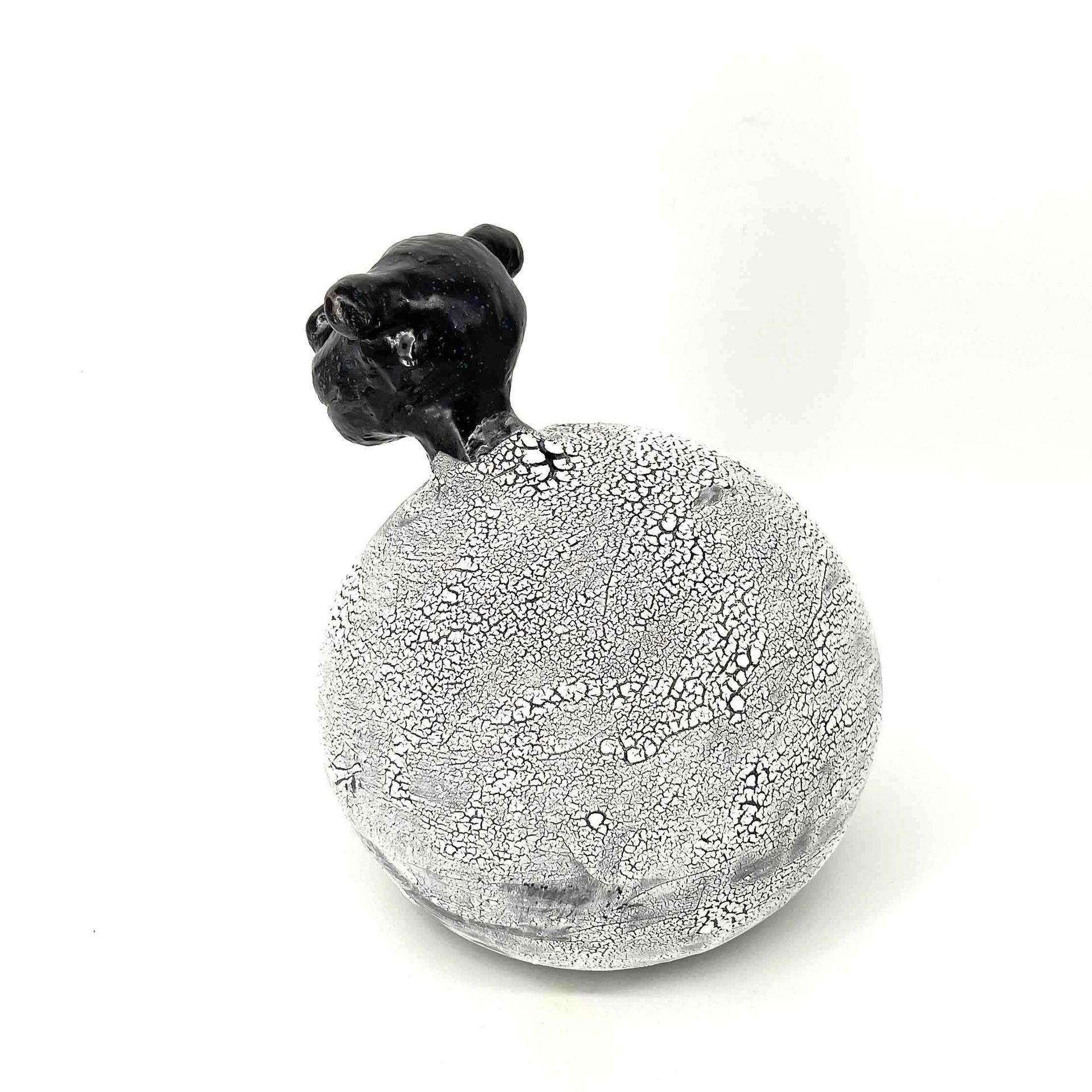 Klein zwart hondje, zittend op een gespikkelde witte bol tegen een witte achtergrond.