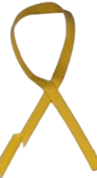 A close up of a yellow ribbon on a white background