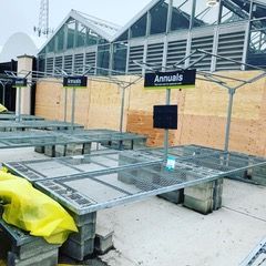 Boarded-off greenhouse interior with metal tables and signs labeled “Annuals” and “Perennials”