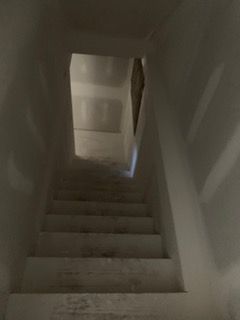 Narrow carpeted staircase descending into a dim hallway with white walls and a doorway at the bottom