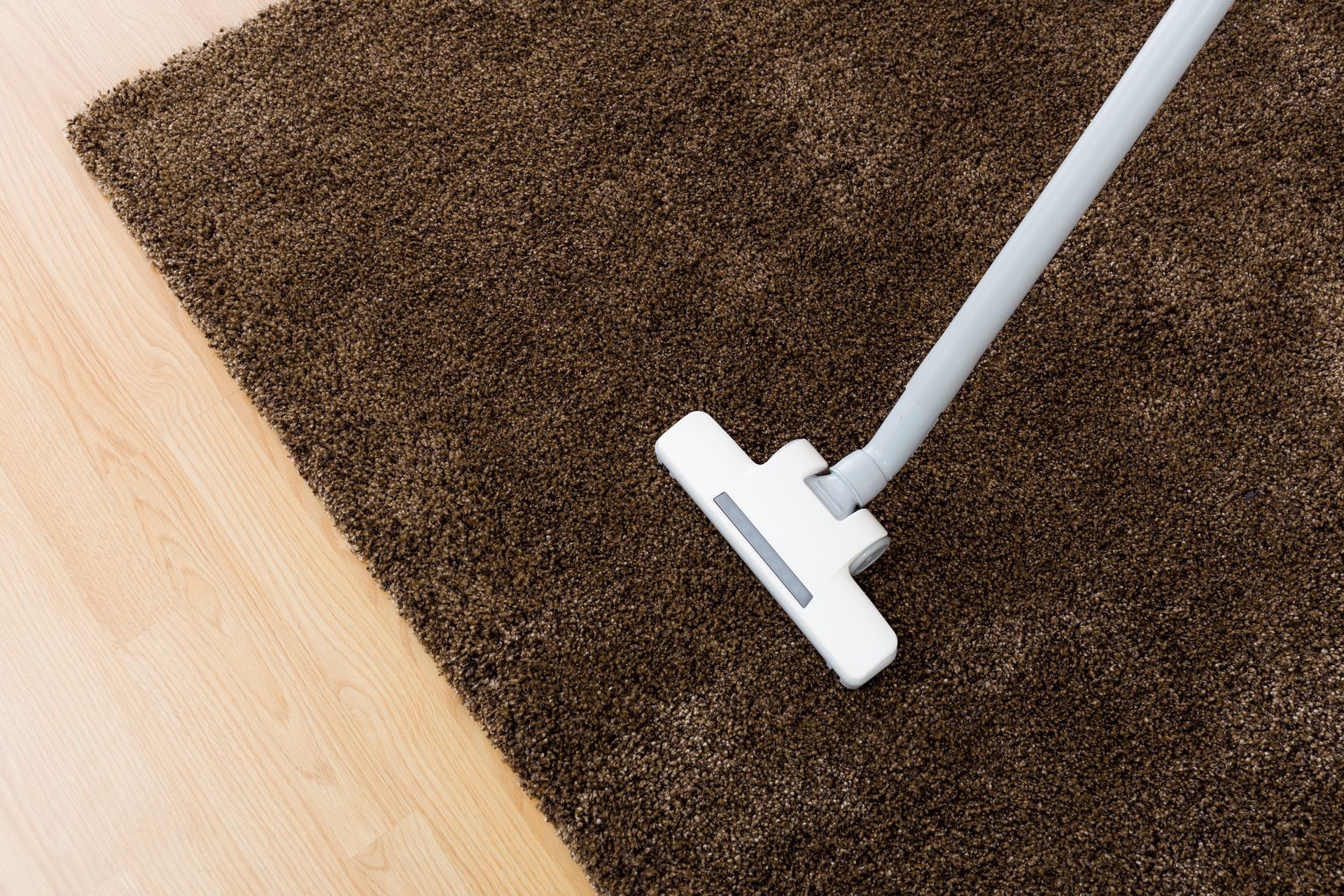Vacuum cleaner head on brown carpet next to light wood floor.