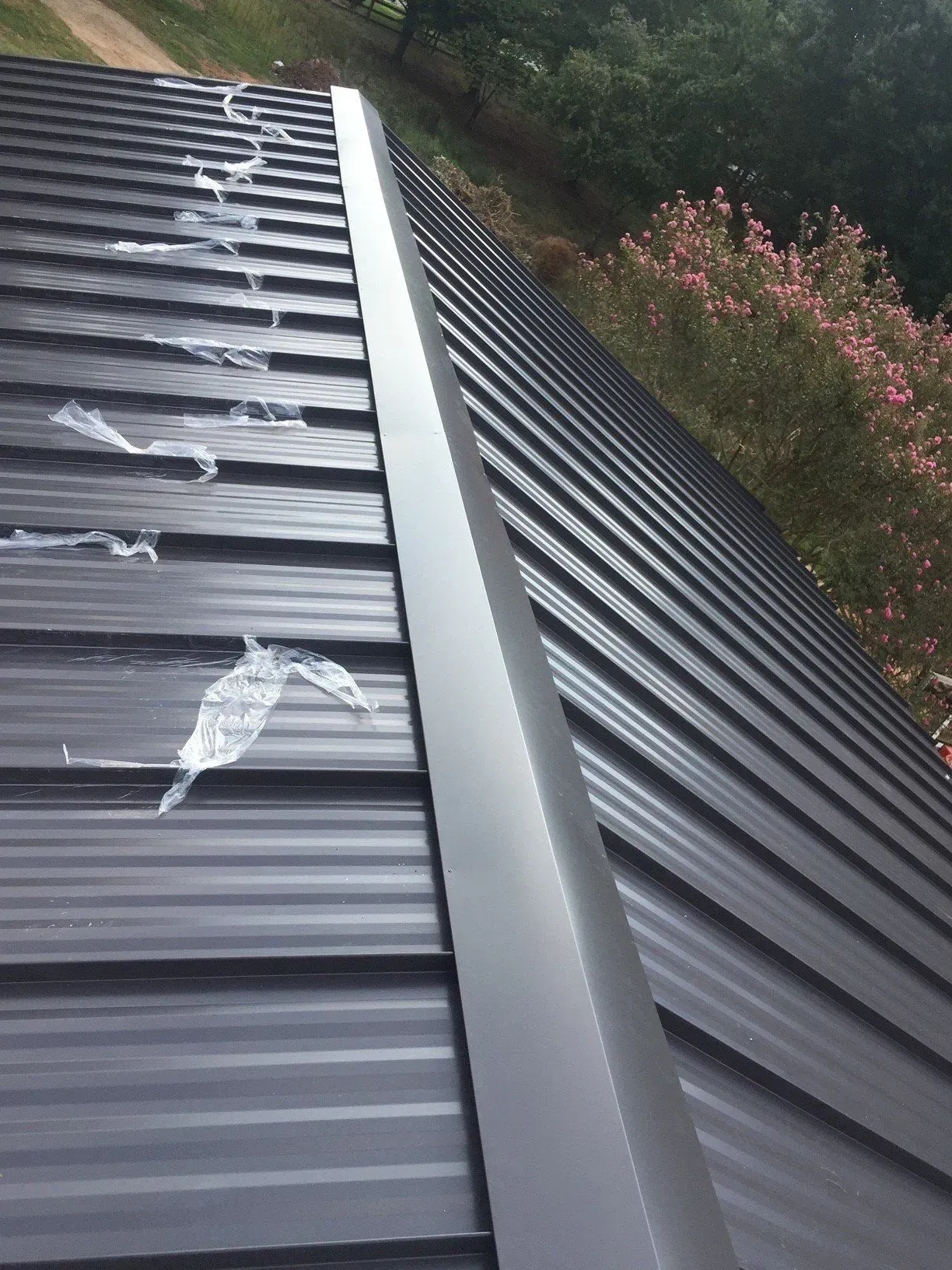 Metal roof with dark gray panels, white patches, and a central ridge beside pink flowers and trees