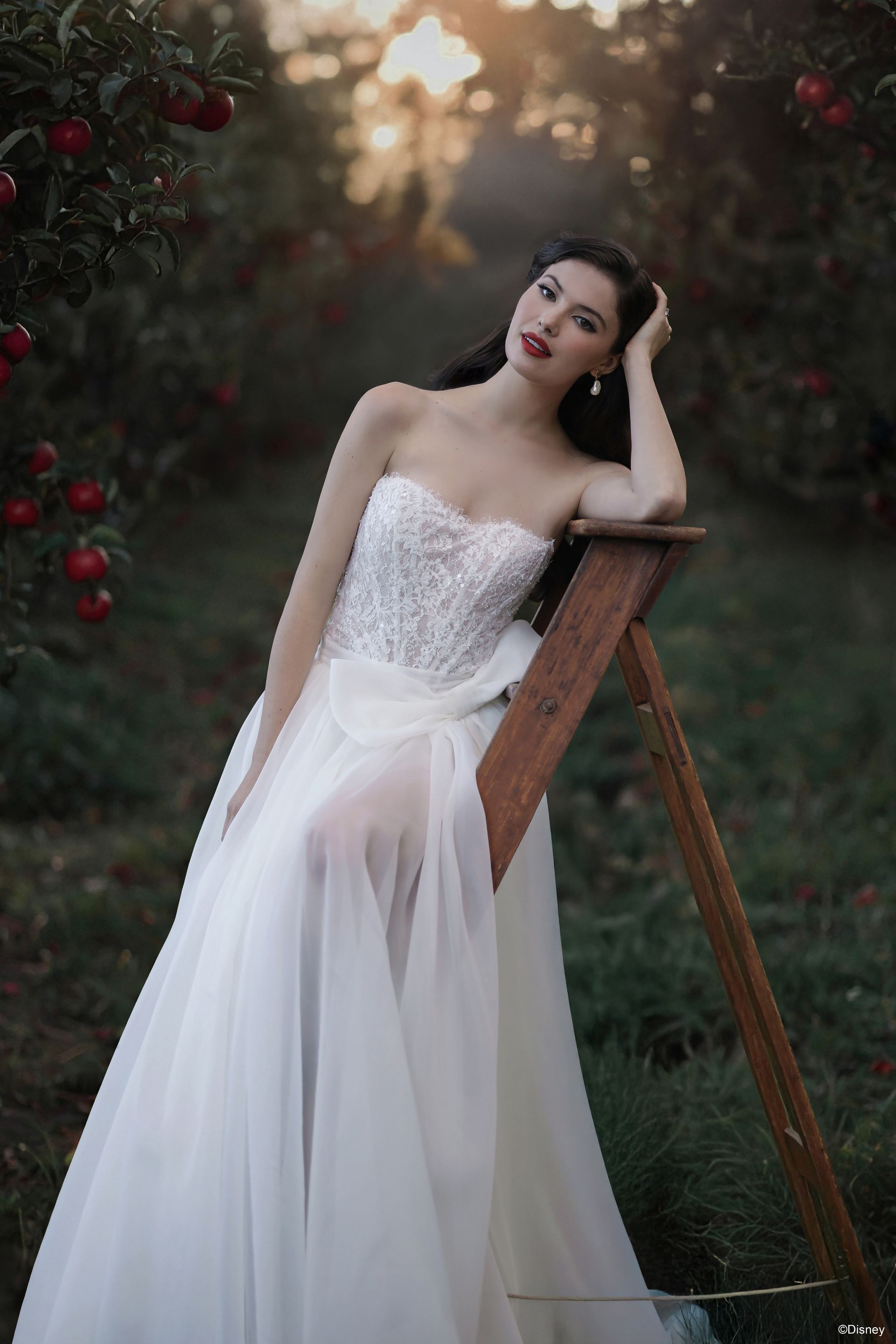 Snow White Wedding Dress in Gastonia & Charlotte | Disney Bridal Gowns Snow White Wedding Dress in Gastonia & Charlotte | Disney Bridal Gowns