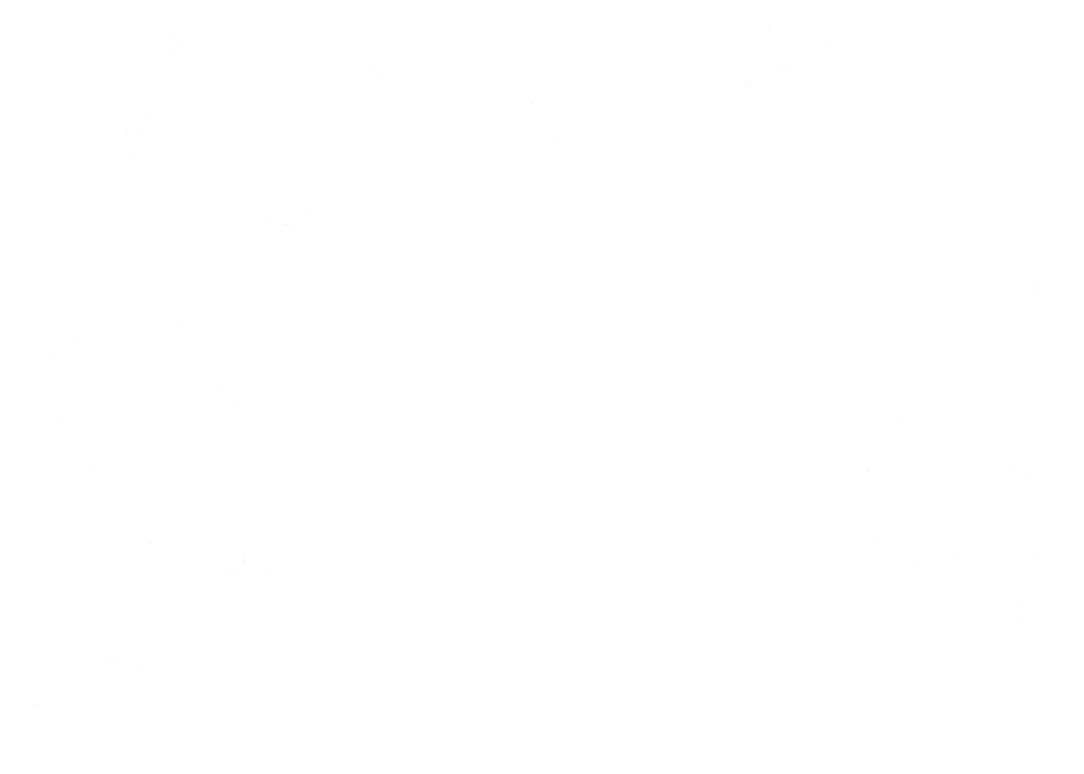 Blank white image.