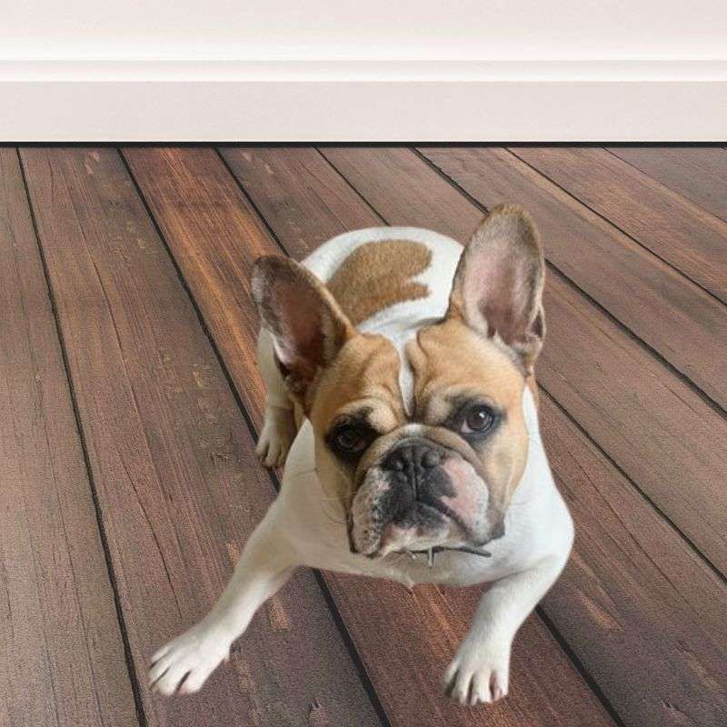 Archie