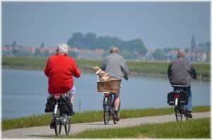 Three cyclists ride along a path near water; a dog sits in the basket of the middle bike.