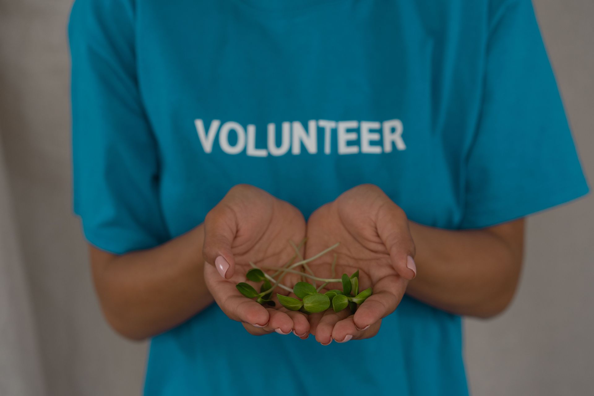Person in a blue “VOLUNTEER” shirt holding green seedlings in cupped hands